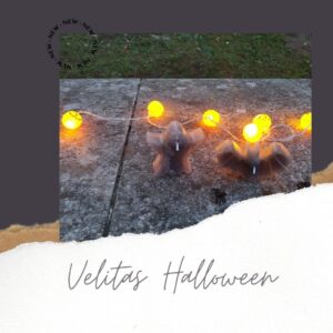Velitas Halloween