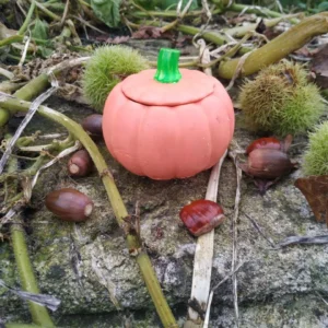 Cajita Calabaza