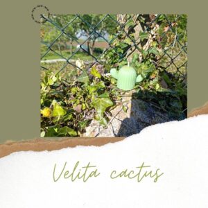 Velita de cactus