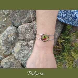 Pulsera